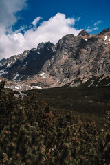 View of High Tatras mountain range near Velické pleso. 