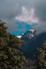 View of High Tatras mountain range near Velické pleso. 