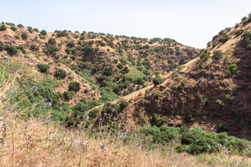 Hillsides  overgrown with forests and grass in the Black Gorge on the banks of the Zavitan stream in the Golan Heights, near to Qatsrin, northern Israel