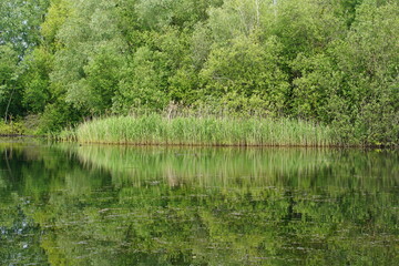 Lake views in Milton Country Park, Cambridge, June 2022