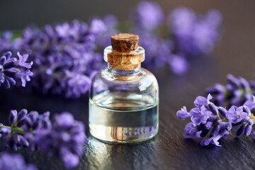 Obraz na płótnie Canvas Aromatherapy essential oil bottlel with fresh blooming lavender