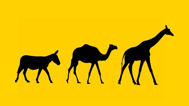 Walking giraffe, camel and donkey: animation on the yellow background (seamless loop)
