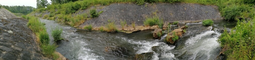 the river in the forest