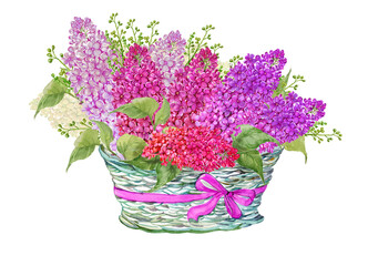 Beautiful lilac flower bouquet in a basket watercolor illustration on an isolated white background