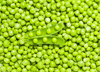 Fototapeta na wymiar fresh beautiful green peas,delicious background