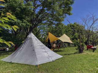 tent in the forest