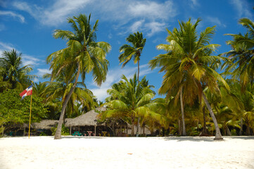 Tropical beach. The Dominican Republic, Saona Island - 513732269