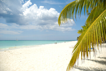 Tropical beach. The Dominican Republic, Saona Island - 513732279