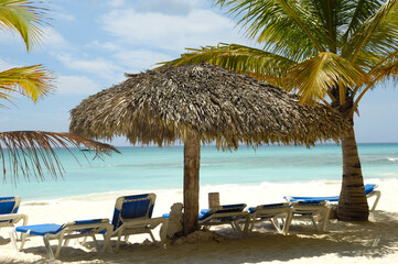 Tropical beach. The Dominican Republic, Saona Island - 513732288