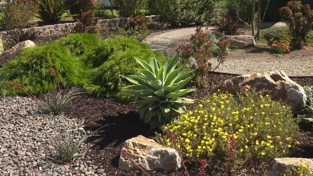 Beautiful drought tolerant residential landscaping with rocks and blooming yellow flowers