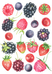Watercolor Wild Berry set