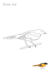 Simple Stroke Bird Wild Canary Silhouette Photo Drawing Skills For Kids A3/A4/A5 suitable format size. Print it yourself at home and enjoy!
