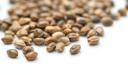 Cannabis seeds , Hemp seeds , Marijuana seed , cannabis seed isolated on white background for planting. THC CBD