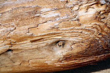 Obraz premium old wood texture