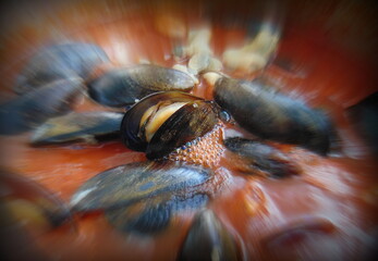 seafood in tomato sauce