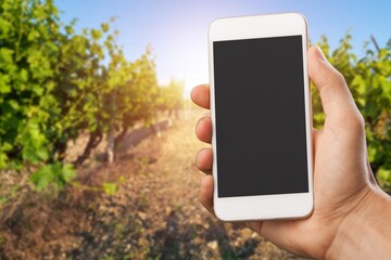 Hand holds mobile phone with screen on field background.