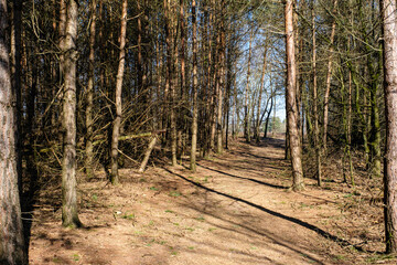 Tonnenberg - Zwolse bos bij Speuld
