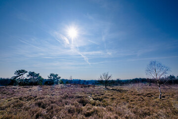 Tonnenberg - Zwolse bos bij Speuld
