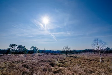 Fototapete Tonnenberg - Zwolse bos bij Speuld © Holland-PhotostockNL