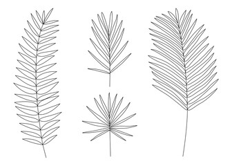 Set of exotic tropical outline leaves.