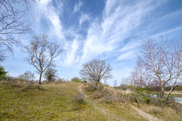 Amsterdamse Waterleidingduinen