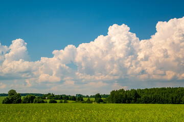 blue sky background with white striped clouds in heaven and infinity may use for sky replacement.