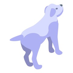 Wash white puppy icon isometric vector. Dog spa. Pet shower