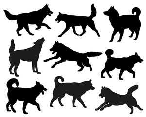 Group of siberian huskies. Black dog silhouette. Running, standing, walking, jumping dogs. Isolated on a white background. Pet animals. Vector illustration.
