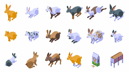 Rabbit breeding icons set isometric vector. Dutch animal. Bunny hare