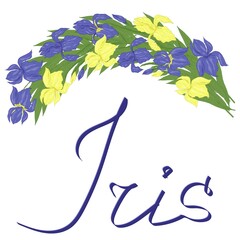Iris flowers decorative art work with lettering