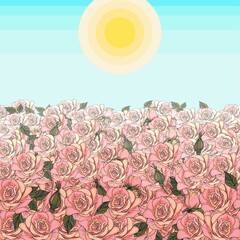 Spectacular view on field of roses and sunshine