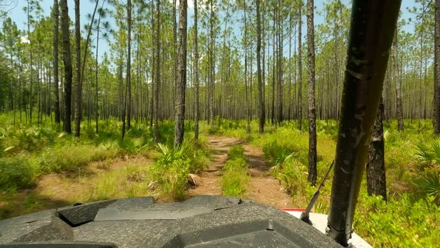 Silver Lake Recreation Area Tallahassee FL. sxs off road riding trails