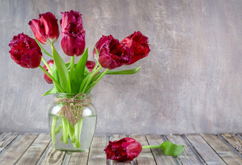 Bouquet of fresh red flowers in a glass jar. Spring flowers for Valentine's Day, Mother's Day or Women's Day.