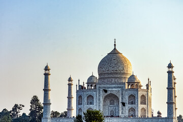 Obraz premium Taj Mahal with flying ravens in Agra, Uttar Pradesh, India