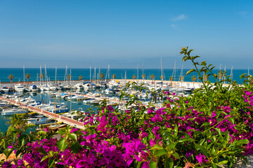 Purple bougainvillea flowers on the background of the sea and boats. Mediterranean sea. Summer holidays, vacation and travel concept