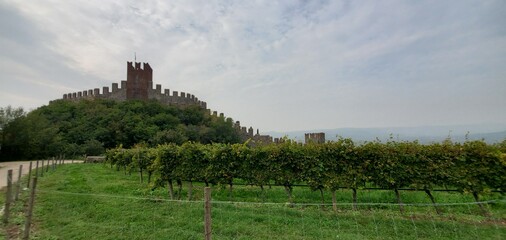 Fototapeta na wymiar Soave Castle, Verona, Italy 