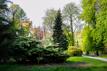 Obraz premium old city fortification walls guarding peace and quiet of the park