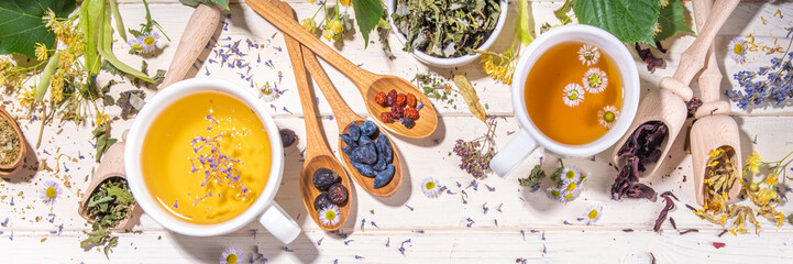 Healthy drinks, harvest herbs and flowers concept. Fresh and dried organic herbal, set of different...