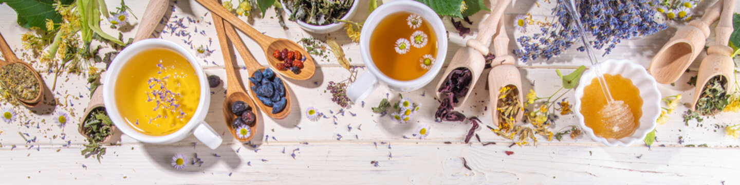 Healthy drinks, harvest herbs and flowers concept. Fresh and dried organic herbal, set of different floral tea variations, with brewed hot tea cups on white wood table copy space