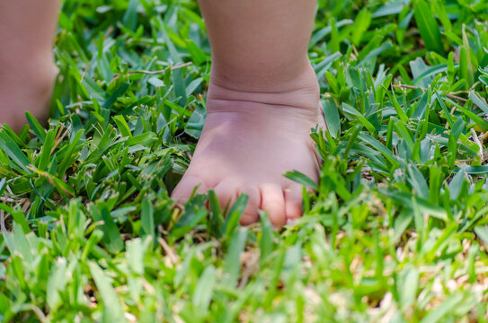 Little Kid Walks on the Grass with Bare Foot. Healthy Life with a Baby Girl Getting in Touch with Ground and Nature. Body Part of a Happy Child Playing in the Garden in Greece.