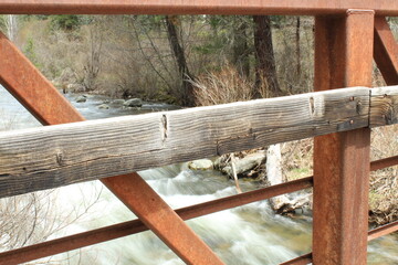 Creek in Montana Public Park