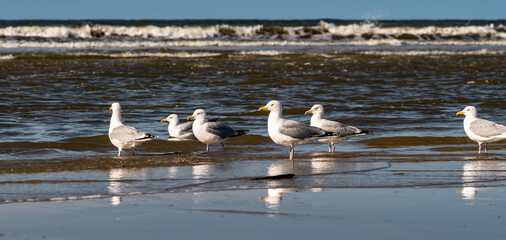 Abends am Strand