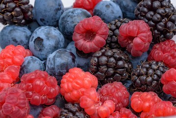 Various berries harvested (blueberry, blackberry, raspberry)