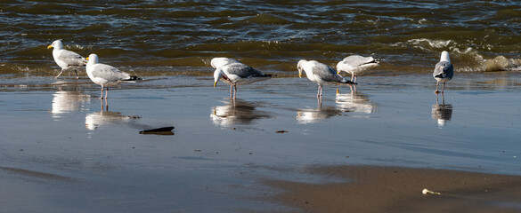 Abends am Strand