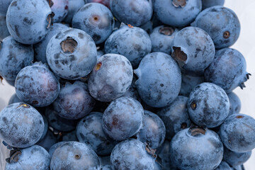 A lot of harvested blueberry fruits