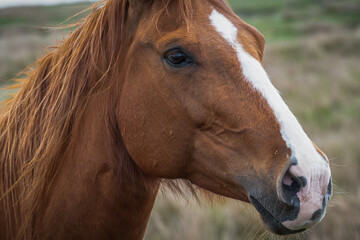 Fototapeta premium Ruhepause