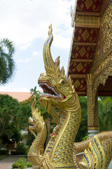 Fototapeta na wymiar golden serpent in a thai temple in the north