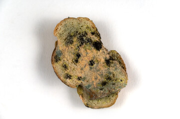The moldy bread is opposite the neutral background. Two slices of wheat bread covered in fungal mold. Spoiled food. Selective focus.