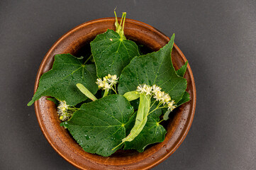 Folk medicine concept. The flowers and leaves of a linden tree lie inside a brown clay bowl. Wet...