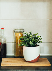Houseplant, wooden cutting board, jar of spaghetti and bottle of red wine on a kitchen worktops